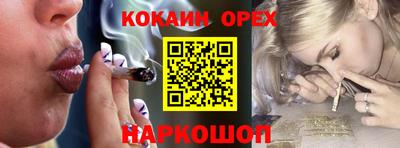 ешки Гай