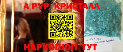 ешки Гай