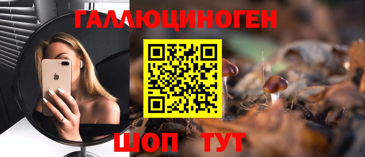 Десногорск  как найти закладки  Вход с VPN  Галлюциногенные грибы мухоморы  Псилоцибиновые грибы мухоморы 